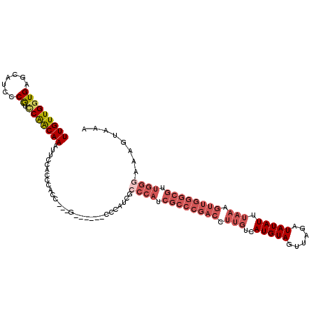 secondary structure