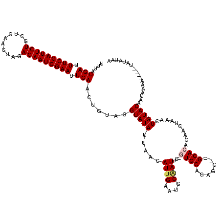 secondary structure