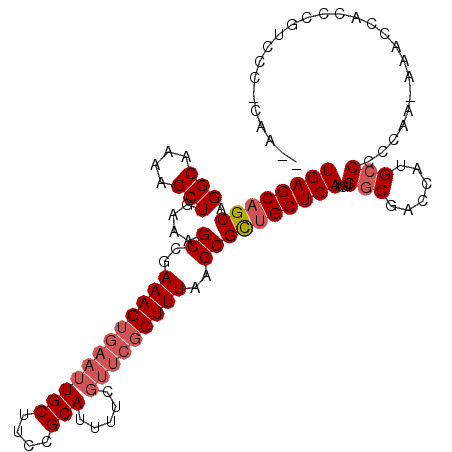 secondary structure
