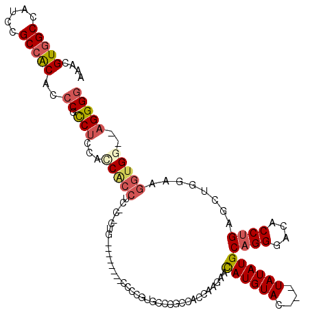 secondary structure