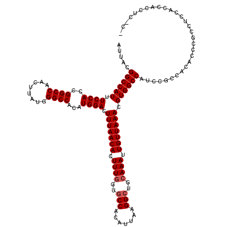 secondary structure