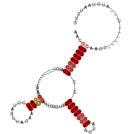 secondary structure