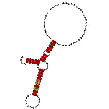 secondary structure