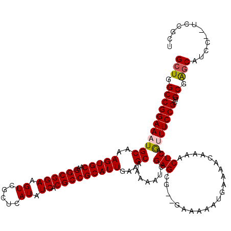 secondary structure