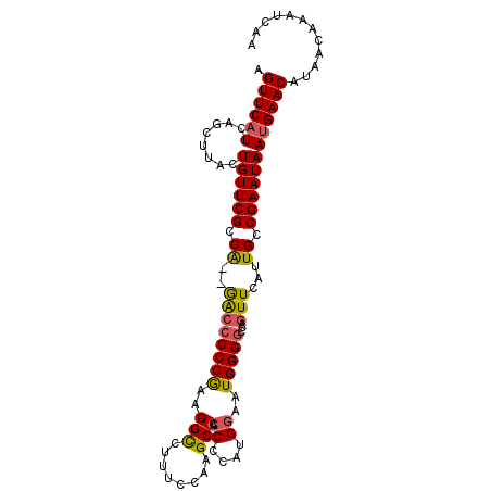 secondary structure