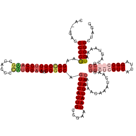 secondary structure
