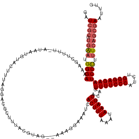 secondary structure