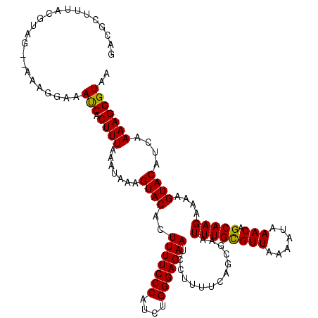 secondary structure