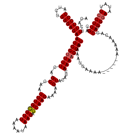 secondary structure