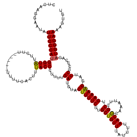 secondary structure
