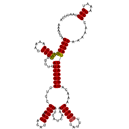 secondary structure