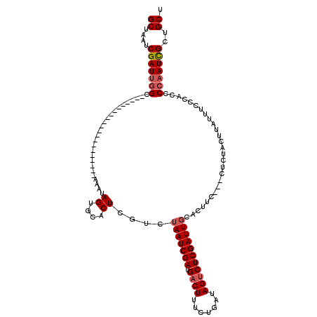secondary structure