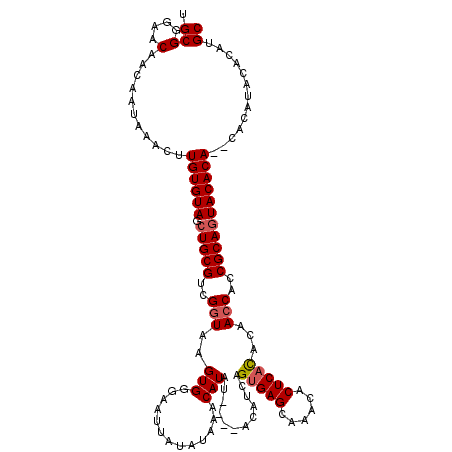 secondary structure