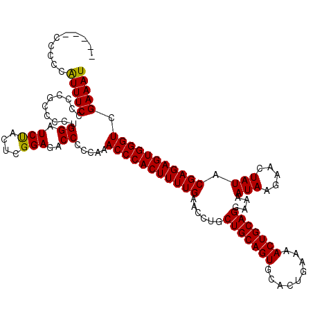 secondary structure
