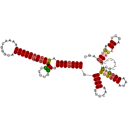 secondary structure