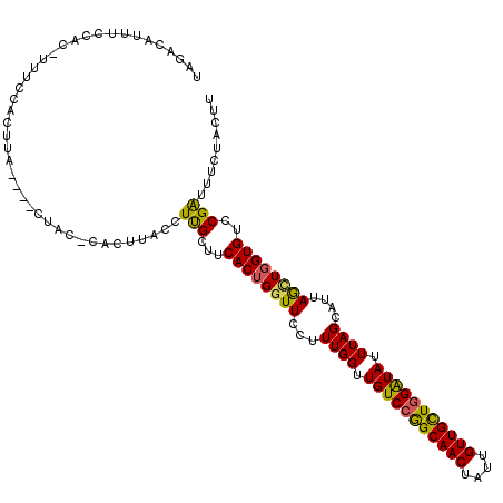 secondary structure