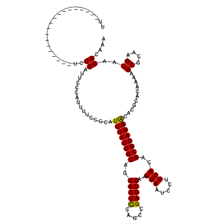 secondary structure