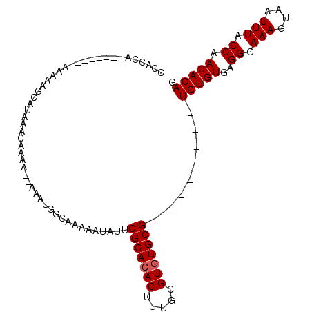 secondary structure