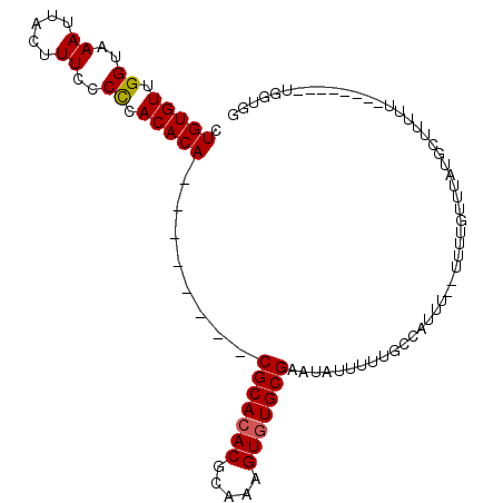 secondary structure