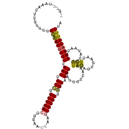 secondary structure