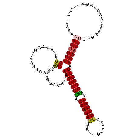 secondary structure