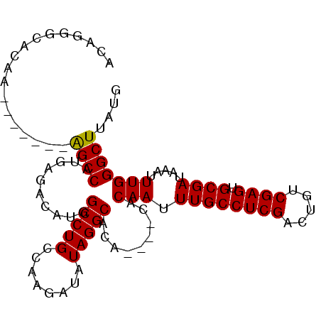 secondary structure