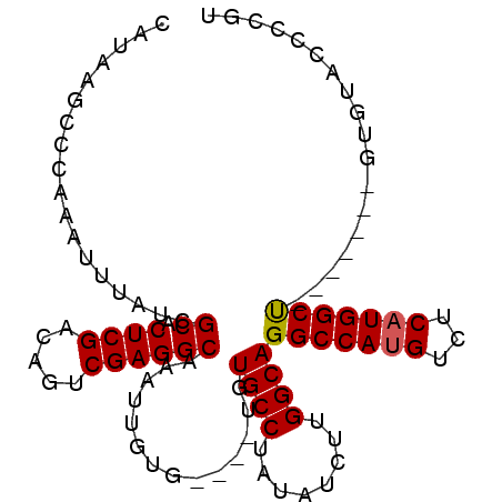secondary structure