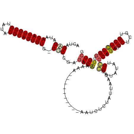 secondary structure