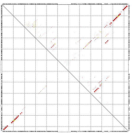 dotplot