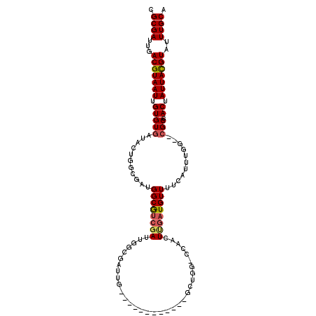 secondary structure