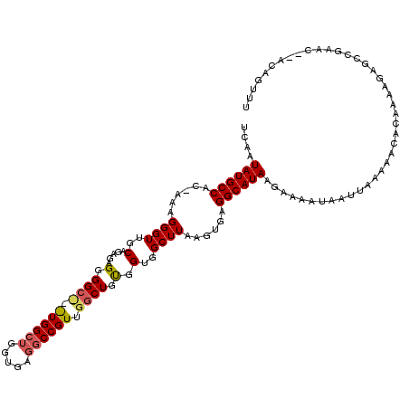 secondary structure