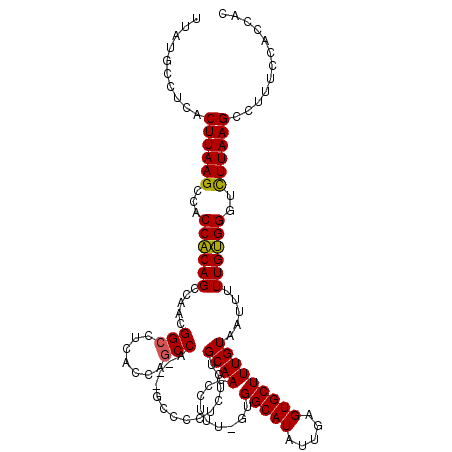 secondary structure