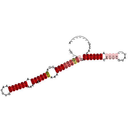 secondary structure