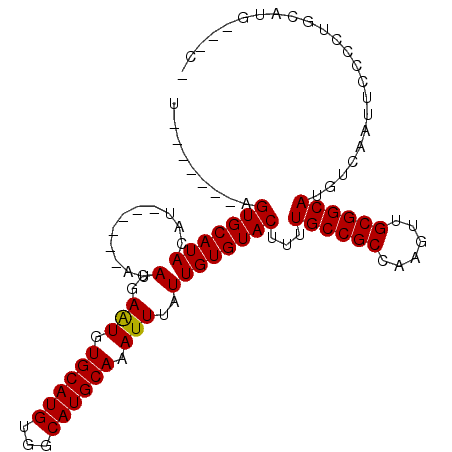 secondary structure