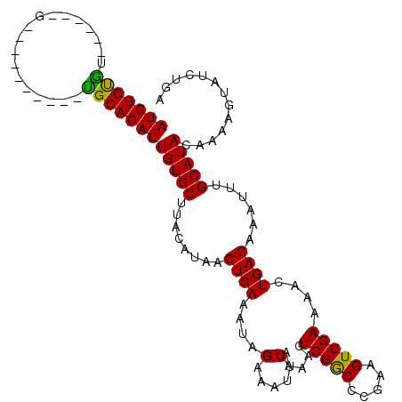 secondary structure