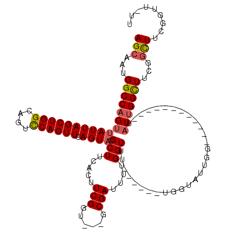 secondary structure