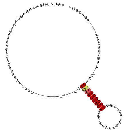 secondary structure