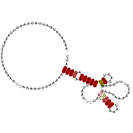 secondary structure