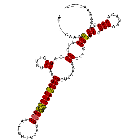 secondary structure