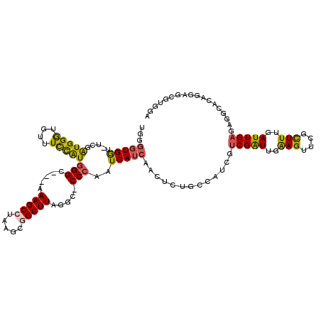 secondary structure