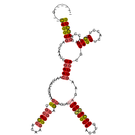 secondary structure