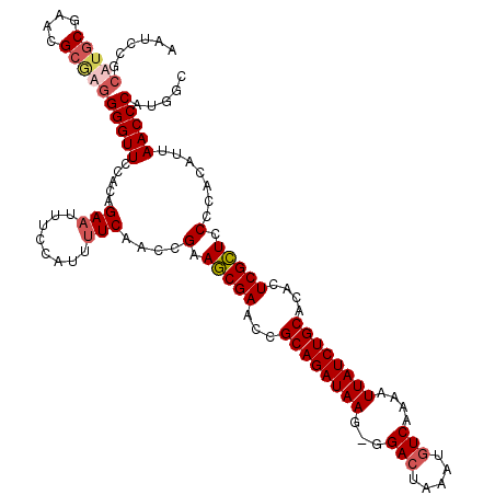 secondary structure