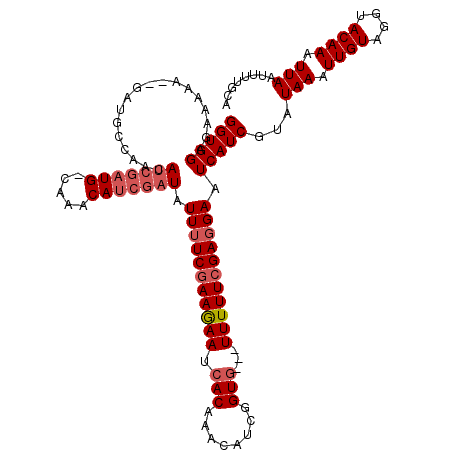 secondary structure