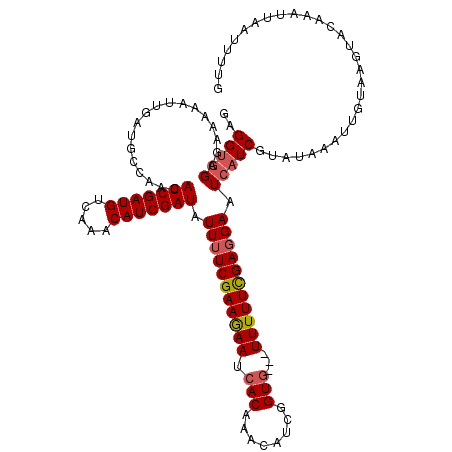 secondary structure
