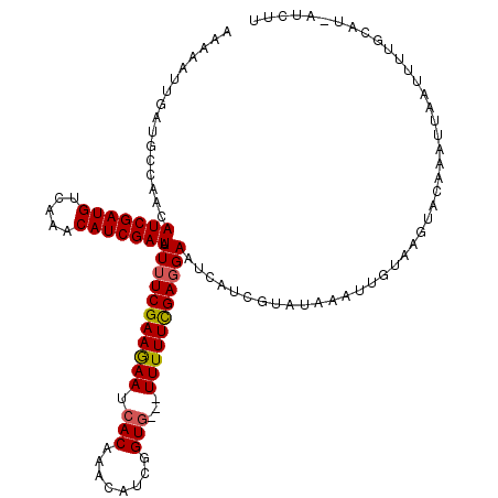 secondary structure
