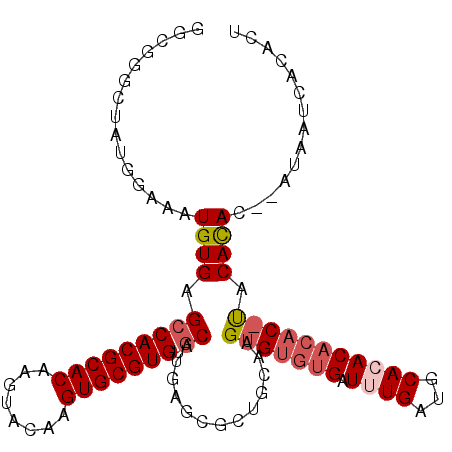 secondary structure