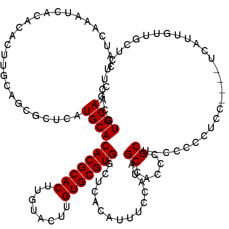 secondary structure