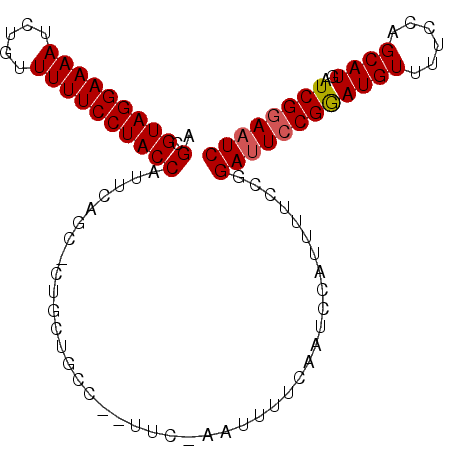 secondary structure