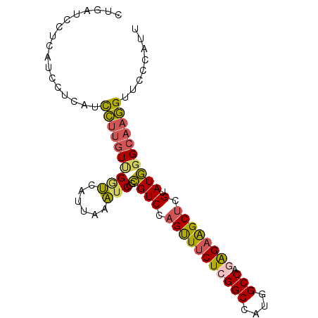 secondary structure