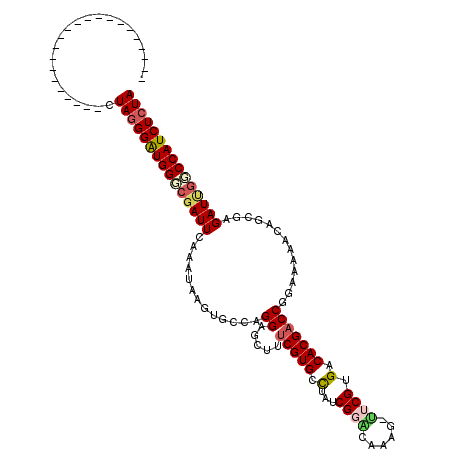 secondary structure